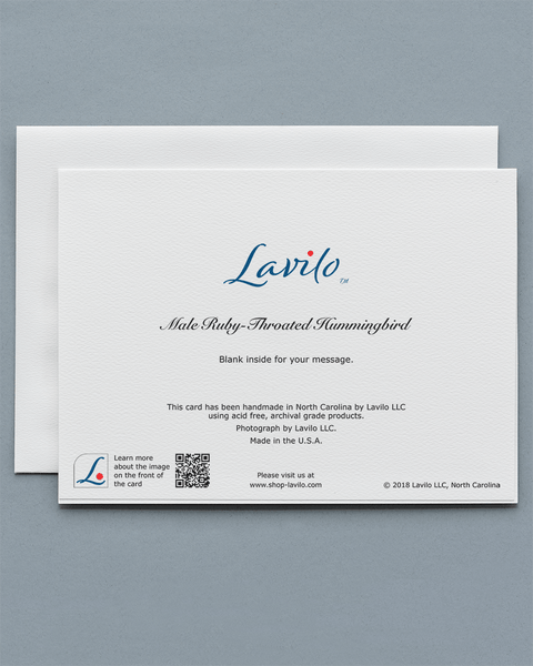 Lavilo™ Greeting Cards - Reverse side with the title MALE RUBY-THROATED HUMMINGBIRD