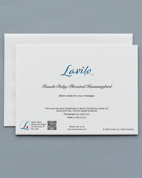 Lavilo™ Greeting Cards - Reverse Side with Title FEMALE RUBY-THROATED HUMMINGBIRD