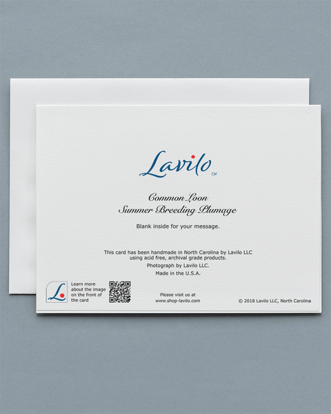Lavilo™ Greeting Cards - Reverse side with the title COMMON LOON SUMMER BREEDING PLUMAGE