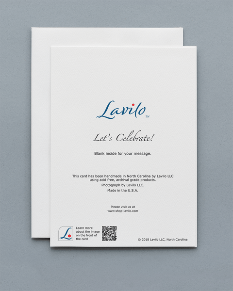 Lavilo™ Greeting Cards - Fireworks - Let’s Celebrate