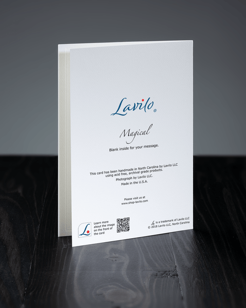 Lavilo™ Greeting Cards - Reverse Side with the Title MAGICAL
