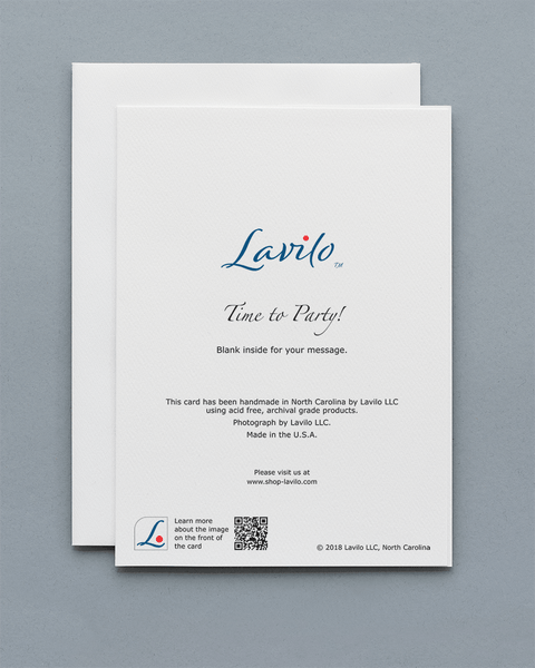 Lavilo™ Greeting Cards - Reverse Side with the Title TIME TO PARTY!