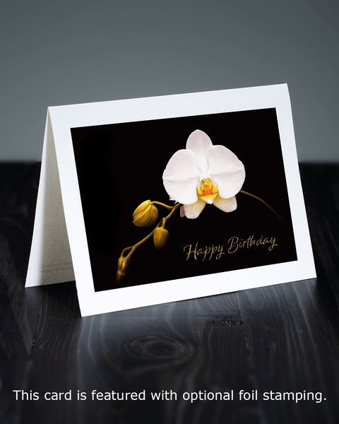 Lavilo™ Greeting Cards - Front Side - White Orchid