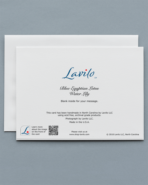 Lavilo™ Greeting Cards - Reverse Side with the Title BLUE EGYPTIAN LOTUS