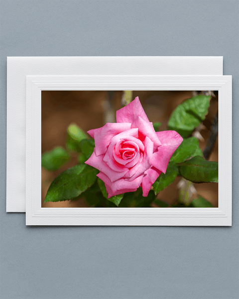Lavilo™ Greeting Cards - Front Side - Pink Rose