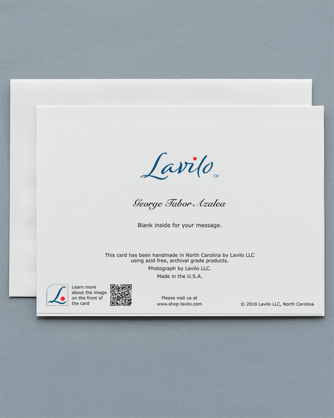 Lavilo™ Greeting Cards - Reverse Side with the Title GEORGE TABOR AZALEA