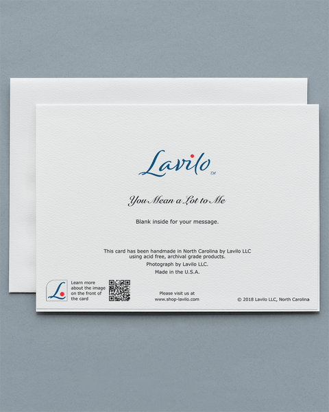 Lavilo™ Greeting Cards - Reverse Side with the Title YOU MEAN A LOT TO ME