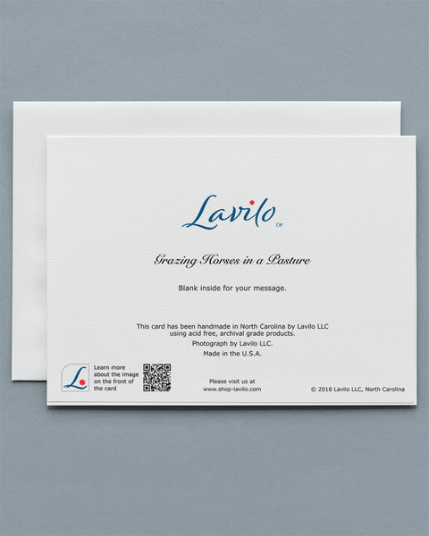 Lavilo™ Greeting Cards - Reverse Side with the Title GRAZING HORSES IN A PASTURE