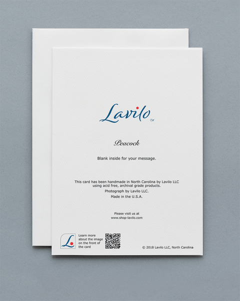 Lavilo Greeting Card - Reverse Side with the Title PEACOCK