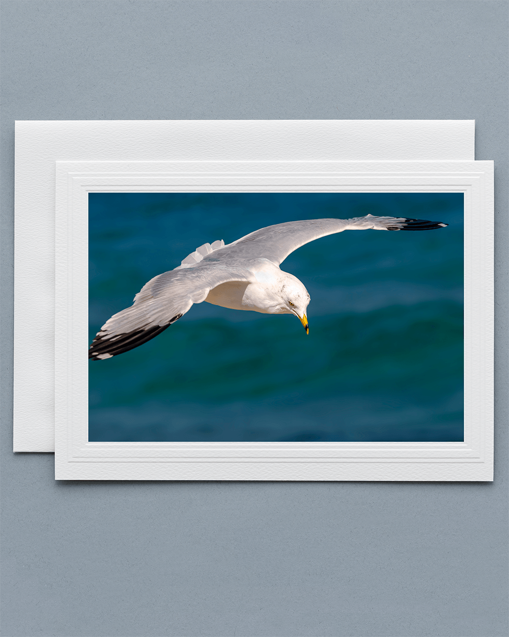 Lavilo Greeting Card - Front Image of a Seagull Over the Ocean