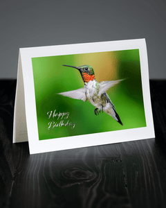 Lavilo™ Greeting Cards - Male Ruby-Throated Hummingbird