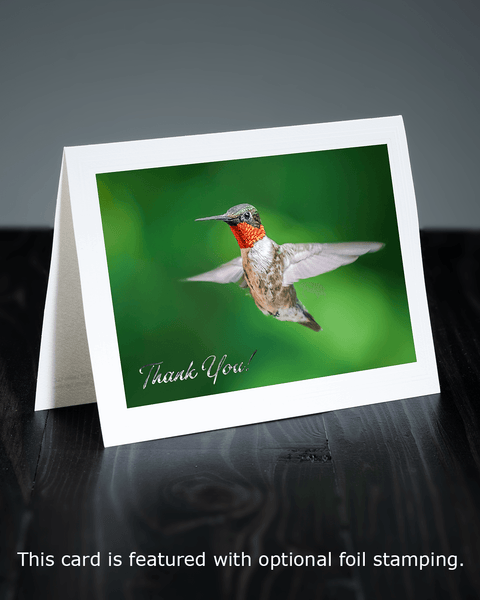 Lavilo™ Greeting Cards - Front Side Ruby-Throated Hummingbird