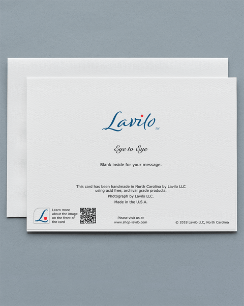 Lavilo™ Greeting Cards - Reverse Side with the Title EYE TO EYE