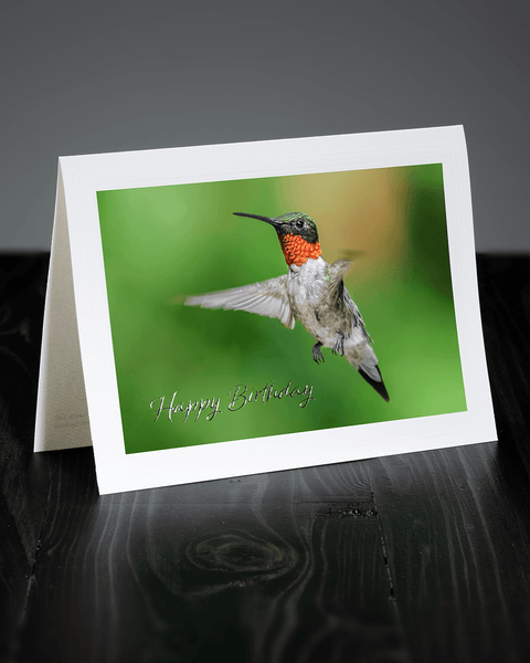Lavilo™ Greeting Cards - Hovering Male Ruby-Throated Hummingbird