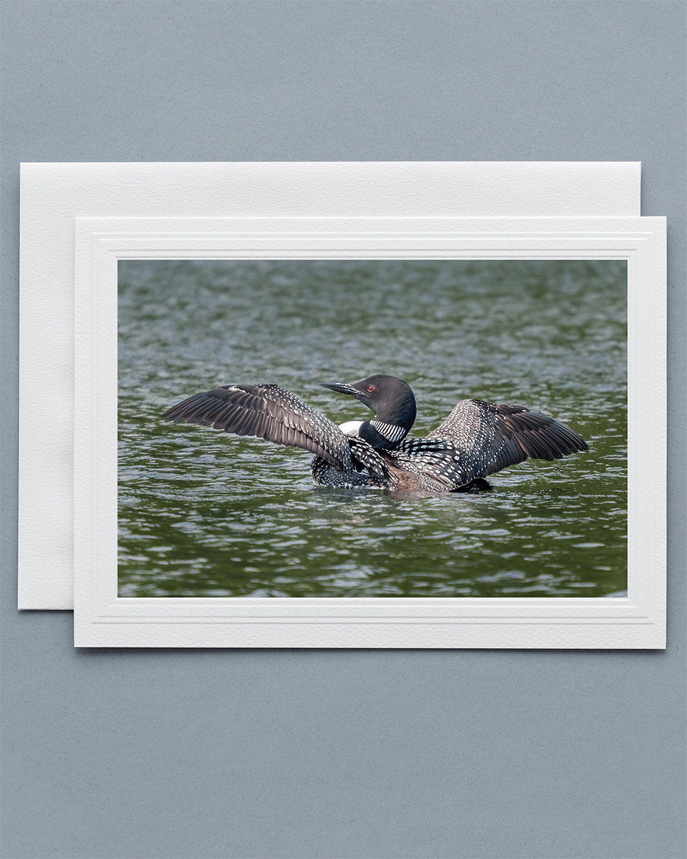 Lavilo™ Greeting Cards - Common Loon Summer Breeding Plumage
