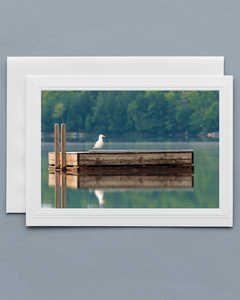 Lavilo™ Greeting Cards - Seagull on a Floating Deck
