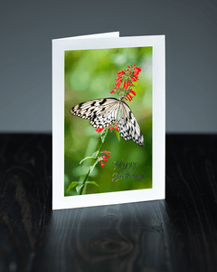 Lavilo™ Greeting Cards - Paper Kite Butterfly on a Flower
