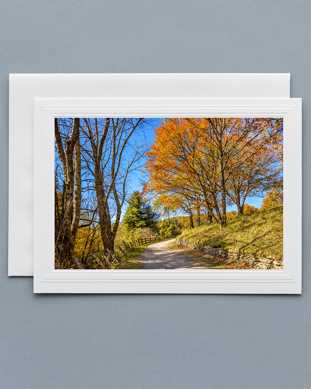 Lavilo™ Greeting Cards - Front Side - Path During Fall at the Moses H Cone Memorial Park - Blue Ridge Mountains