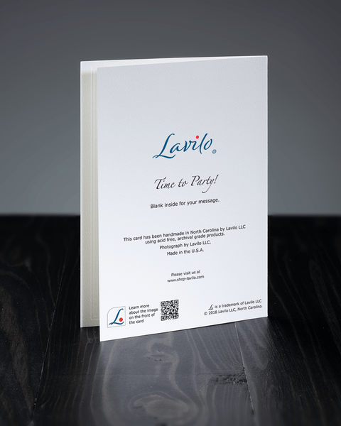 Lavilo™ Greeting Cards - Reverse Side with the Title TIME TO PARTY!