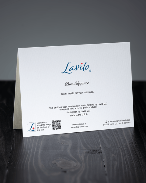 Lavilo™ Greeting Cards - Reverse Side with the Title PURE ELEGANCE