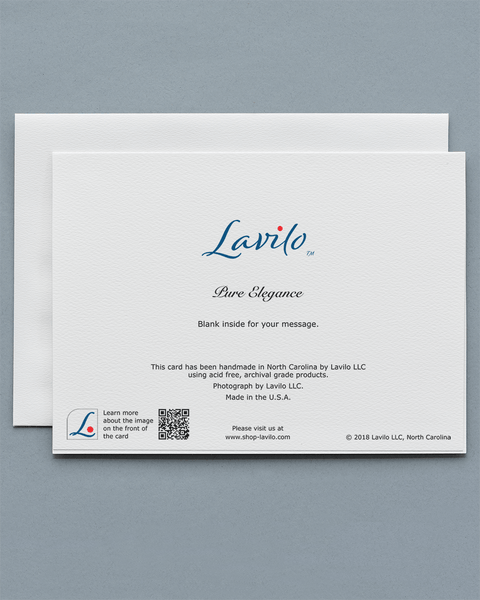 Lavilo™ Greeting Cards - Reverse Side with the Title PURE ELEGANCE
