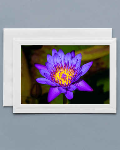 Lavilo™ Greeting Cards - Front Side Blue Egyptian Lotus