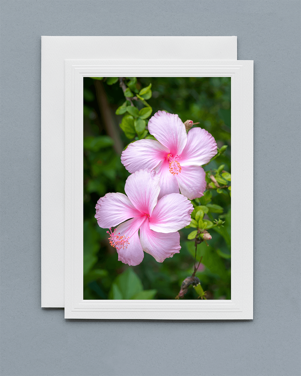 Lavilo™ Greeting Cards - Front Side Hibiscus Flower