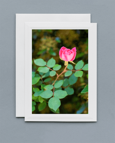Lavilo™ Greeting Cards - Front Side - Single Rose